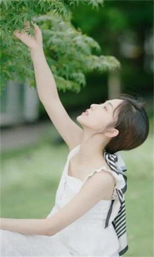 野花直播最新版免费下载