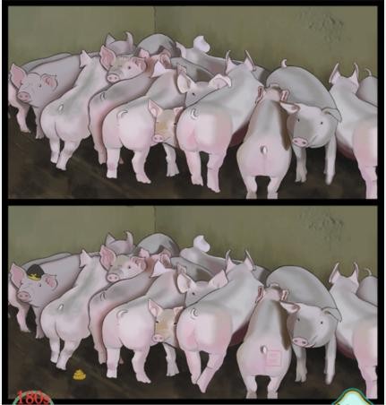 疯狂梗传猪圈的猪找出10处不同怎么过-疯狂梗传猪圈的猪通关图文攻略