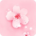 新版猫咪3.0安卓版