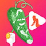 蘑菇tv永久版安装包下载大全