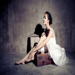 八年沉淀只为经典七色猫：色彩与创意的完美结合