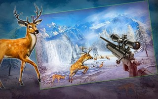 狂野狙击猎人Wild Animal Hunt2