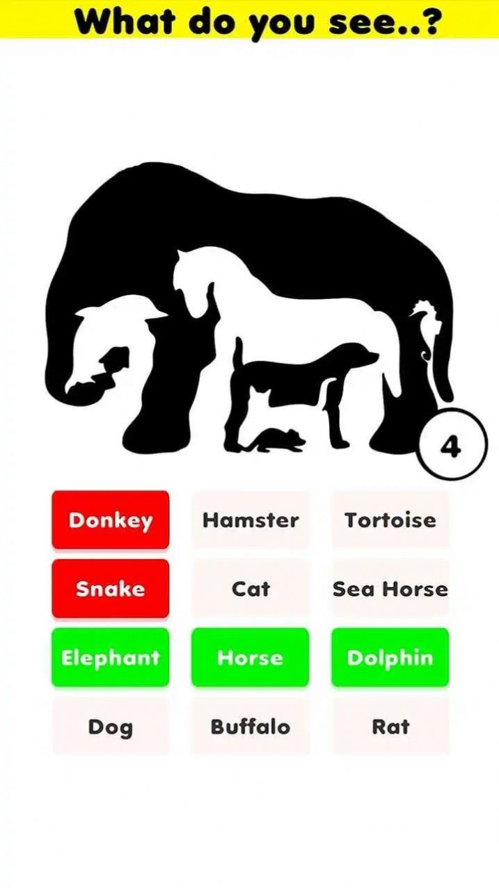 二合一拼图(Two in One Pic Puzzle)1